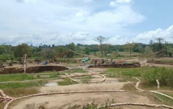 12 Alat Dompeng Beroperasi di PETI Balayo, Kahunu Diduga Pengumpul Atensi