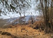 PGM Kerahkan Tim ERT dan Mobil Pemadam, Bantu Padamkan Kebakaran di Kapali