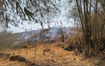 PGM Kerahkan Tim ERT dan Mobil Pemadam, Bantu Padamkan Kebakaran di Kapali