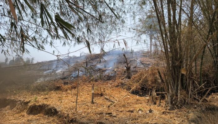 PGM Kerahkan Tim ERT dan Mobil Pemadam, Bantu Padamkan Kebakaran di Kapali